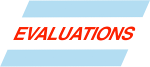 PEM Fellows Conference Evaluations